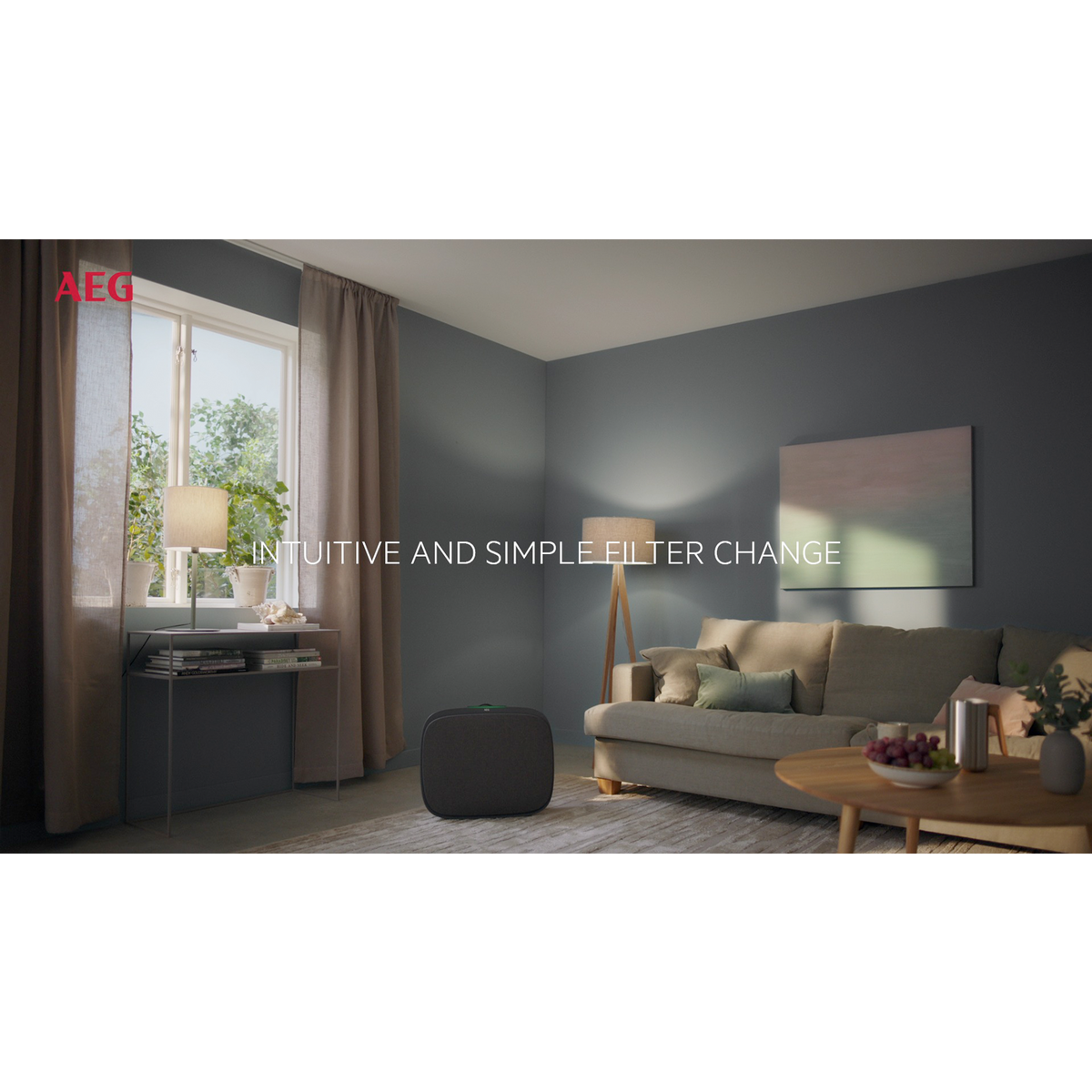 AEG - Accessoire purificateur d'air - AFWFRH3
