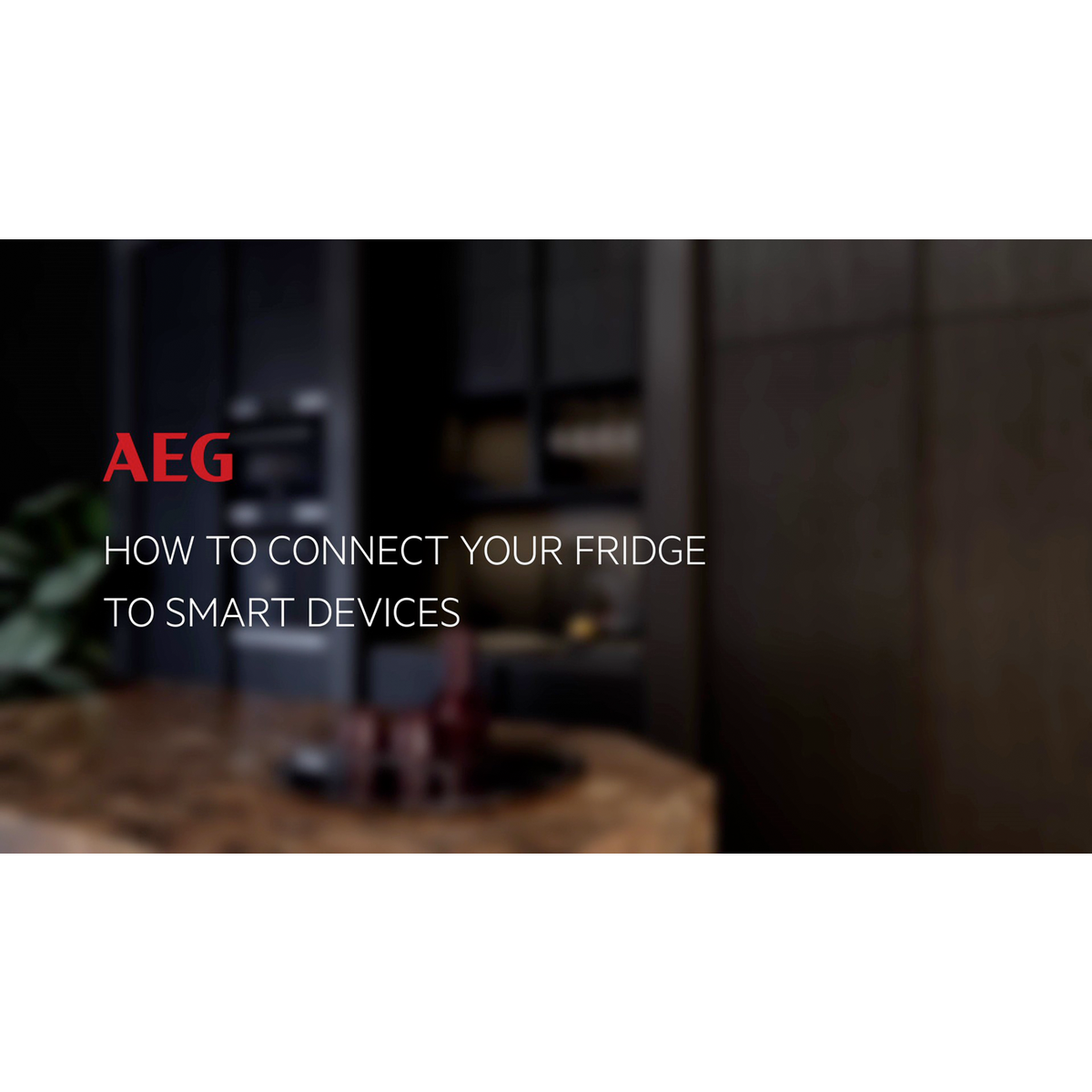 AEG - Combi frigo/congélateur encastrable - EK9B18C