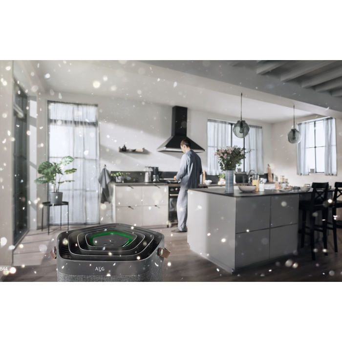 AEG - Accessoire purificateur d'air - AFDCAR6