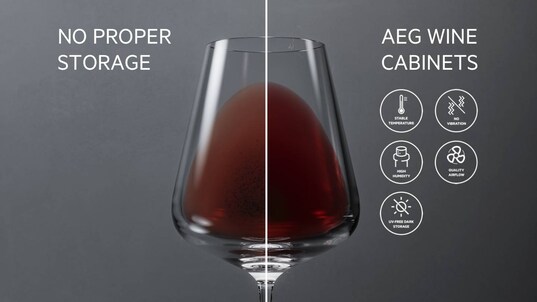 Protégez vos vins avec Cellar Pro 5 Fundamentals