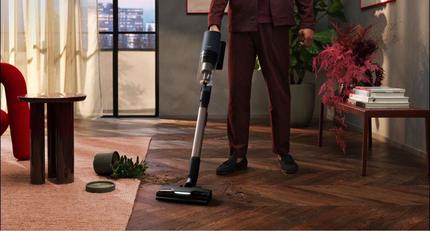 l'aspirateur dans le salon