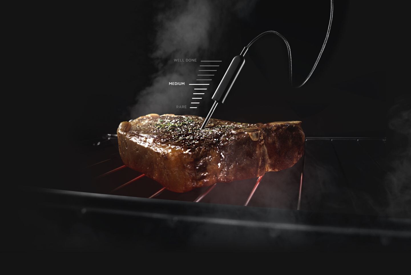Sonde dans un steak Sonde dans un steak