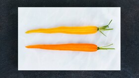Asperges et citron