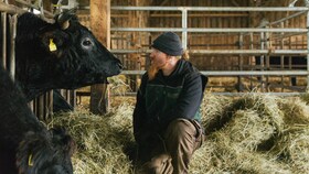 Le chef boucher Ludwig Maurer et un bœuf Wagyu